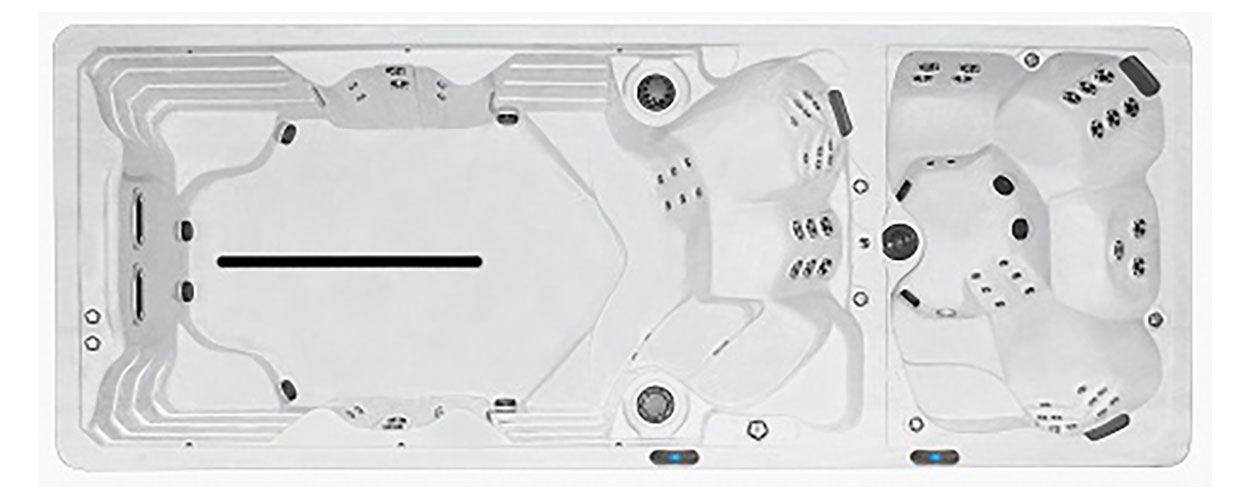 FX219